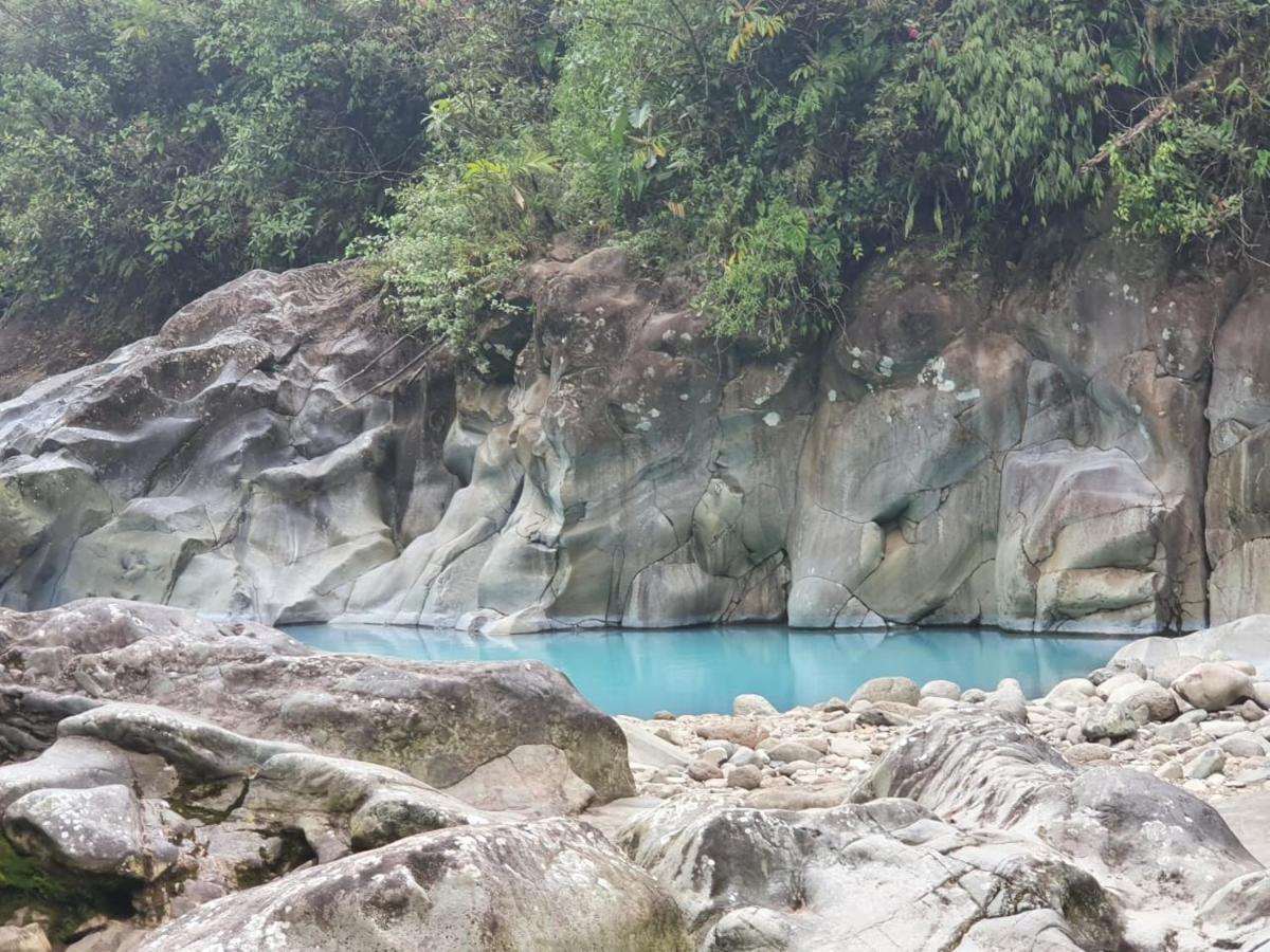 Selvatica Del Toro Διαμέρισμα Bajos del Toro Εξωτερικό φωτογραφία