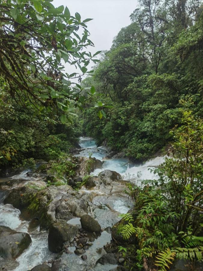 Selvatica Del Toro Διαμέρισμα Bajos del Toro Εξωτερικό φωτογραφία