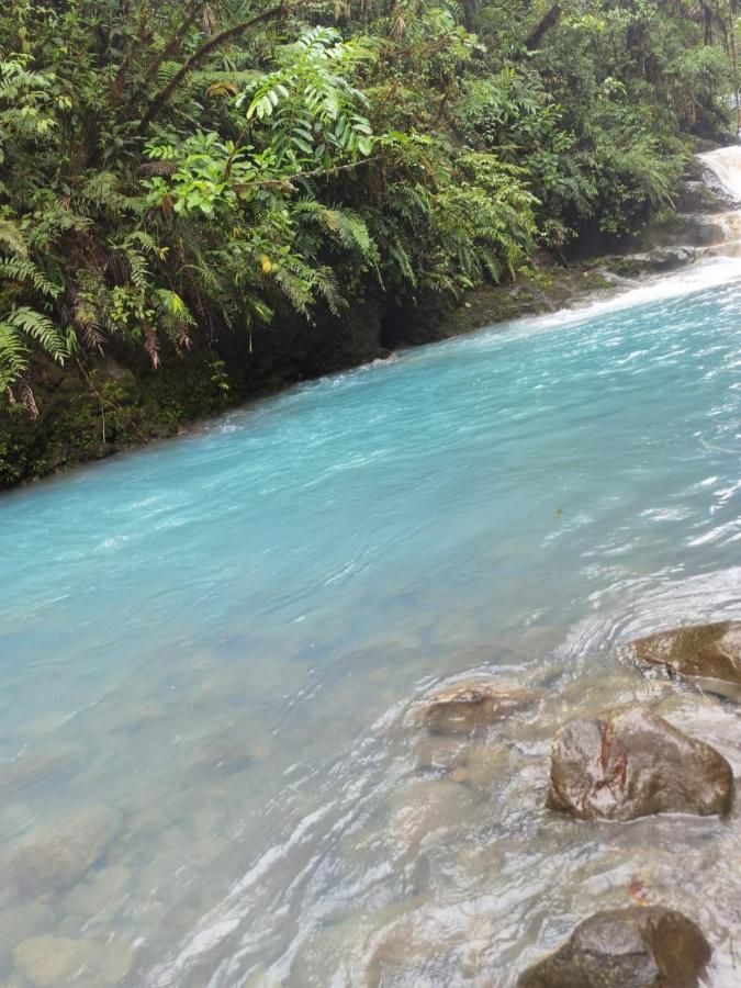 Selvatica Del Toro Διαμέρισμα Bajos del Toro Εξωτερικό φωτογραφία