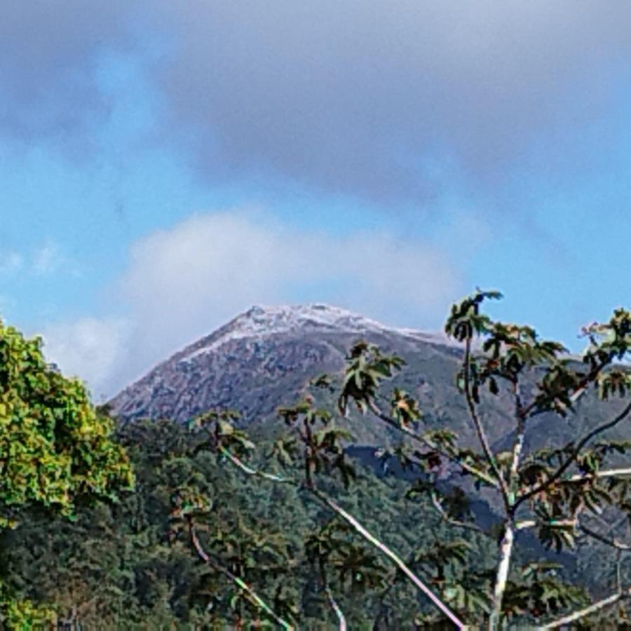 Selvatica Del Toro Διαμέρισμα Bajos del Toro Εξωτερικό φωτογραφία