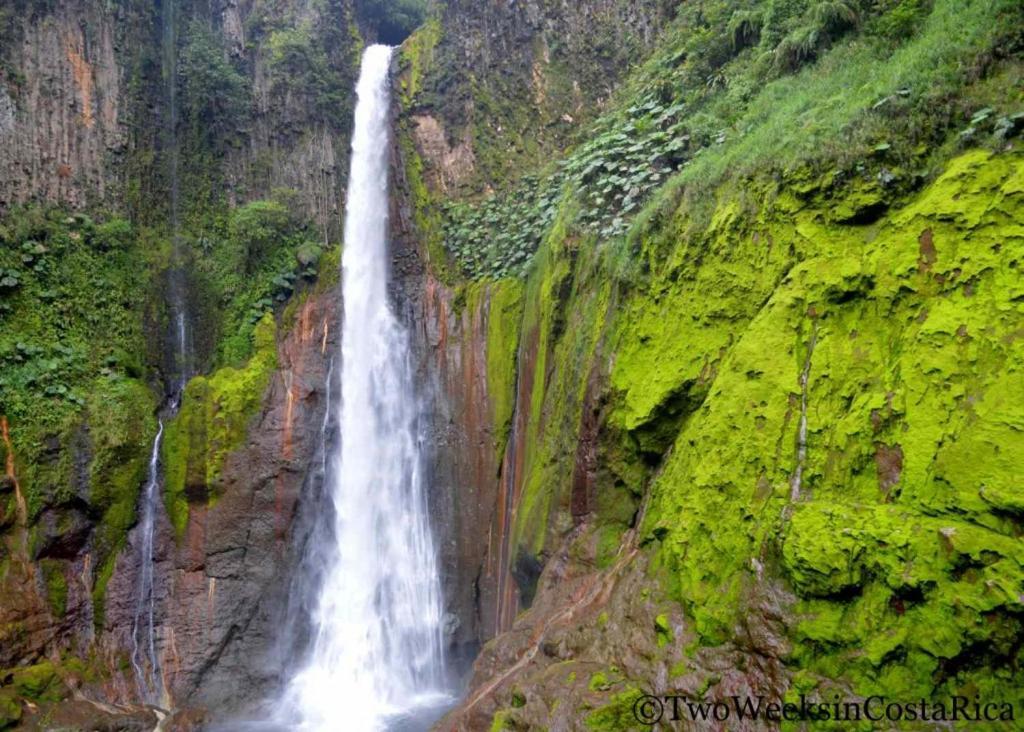Selvatica Del Toro Διαμέρισμα Bajos del Toro Εξωτερικό φωτογραφία