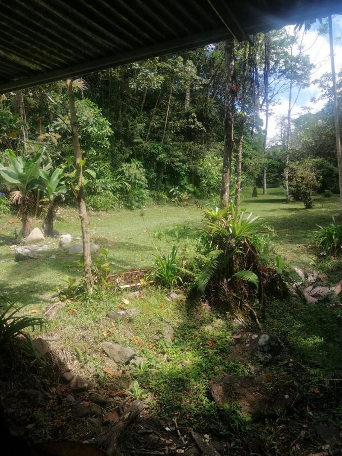 Selvatica Del Toro Διαμέρισμα Bajos del Toro Εξωτερικό φωτογραφία